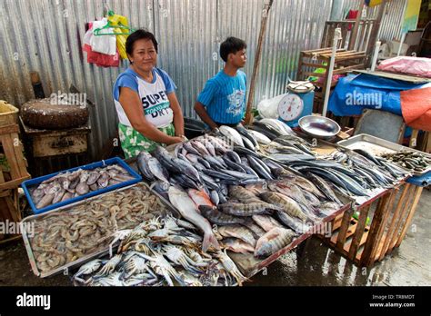common fish in the philippines market|Fish & Seafood .